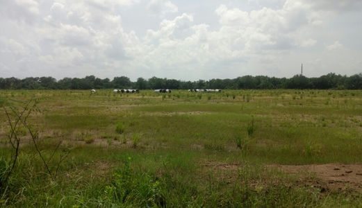 Cho Thuê Đất Trong Kcn Cát Lái, Quận 2, Giá 4 Nghìn/M2/Tháng. Lh 0916302979 Phúc