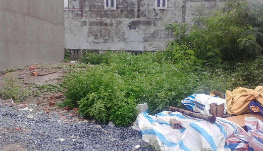 Bán Đất Nền Chính Chủ Đường Ụ Ghe, Tam Phú, Thủ Đức. Giá 1,8 Tỷ 55,9m2.  Đất Thổ Cư 100%