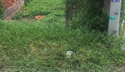 Anh 2 Cần Sang Gấp Đất Mặt Tiền Đường Ô Tô, Xã Hưng Long, Bình Chánh