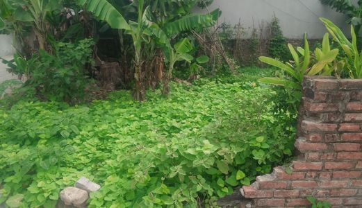 Cần Bán Lô Đất Vỏ Làng Tại Thượng Phúc, Xã Bắc Hồng. Đường Rộng 10m Có Vỉa Hè. Giá Cả Hợp Lý!