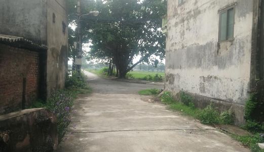 Chính Chủ Cần Bán Lô Đất Rẻ, Đẹp Tại Mai Lâm - Đông Anh, Gần Chung Cư Eurowindow River Park.