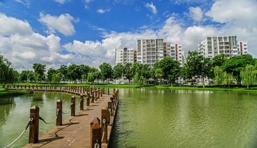 Đang Tồn Tại Một "Thiên Đường" Giữa Lòng Sài Gòn.