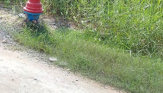 Cần Sang Gấp Căn Nhà Cấp 4 Tại Đường Nhánh Đinh Đức Thiện, Bình Chánh.