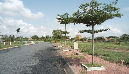 Đất Nền Dự Án Gần Khu Công Nghiệp Cầu Tràm