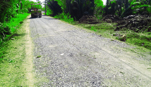 Cần Bán 520m2 Đất Gần Nguyễn Văn Linh Giáp Quận 8. 0903078370