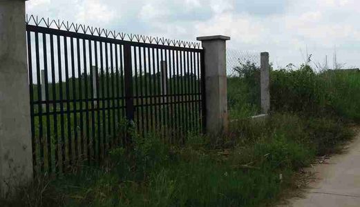 Bán 500m2 Đất Xây Biệt Thự Vườn Nhà Bè, View Sông Mát Mẻ, Shr, Giá 1,85 Tỷ