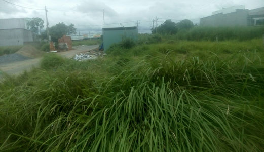 Đầu Tư Với Đất Nền Đức Hòa , Siêu Lợi Nhuận Chỉ Với 200 Triệu 100m2 Shr