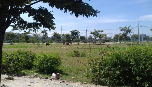 Cần Bán 2 Lô Đất BT View Sông Dự Án Ngọc Dương, Giá 1780tr/250m2