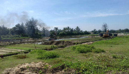 Biệt Thự Bờ Sông Cổ Cò, Dự Án Green City  Giá 1780tr/250m2