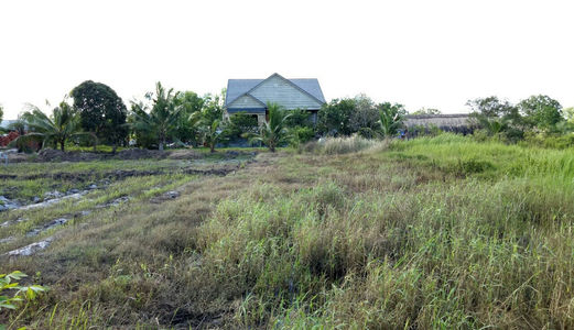 Bán Đất Xây Nhà, Biệt Thự Nghĩ Dưỡng, Giá Rẻ Nhất Đức Hoà