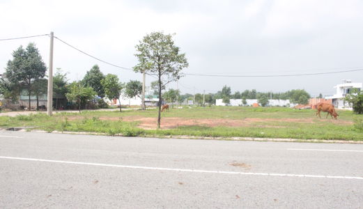 Agribank Bình Dương Thanh Lý Gấp Đất Đô Thị Mới,chỉ 310Tr/nền, Ht Vay 80%