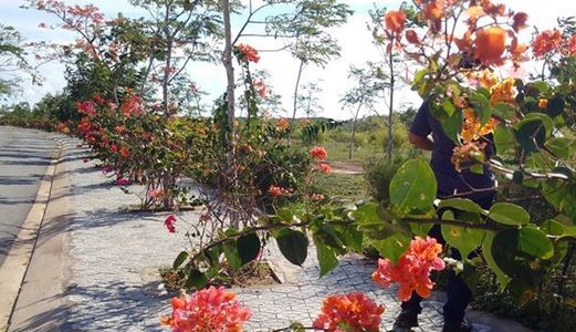 Đất Nền Cần Giờ Mặt Tiền Đường Lương Văn Nho 7tr/M Thổ Cư 100%