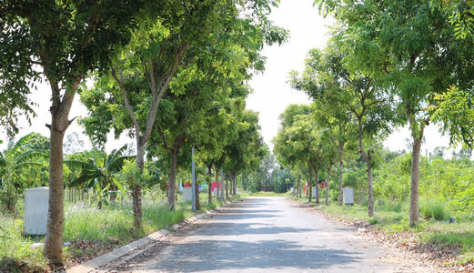 Bán Đất Xây Trọ Ngay Kcn  Dân Cư Đông