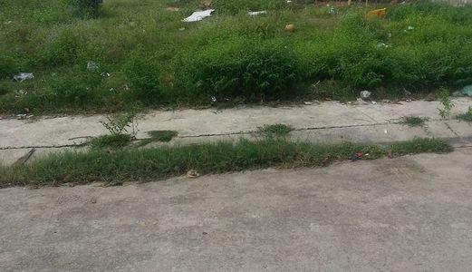 Đất Chính Chủ Ấp 4 Tân Định Bến Cát Bình Dương