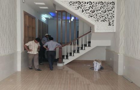 Bán Nhà Hẻm Xe Hơi Lê Đình Cẩn 4x17m, Đúc 1 Tấm Sổ Hồng Riêng