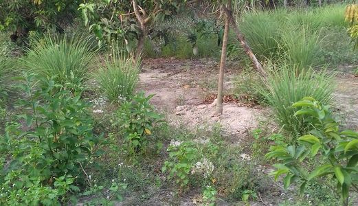 Đất Ở Huyện Trảng Bàng, Tây Ninh