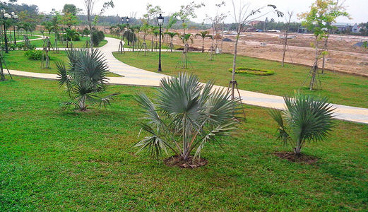 Cơn Sốt Thị Trường Bđs Tại Đô Thị Đối Diện Khu Công Nghệ Cao Giang Điền - Lh: 0902 394 694