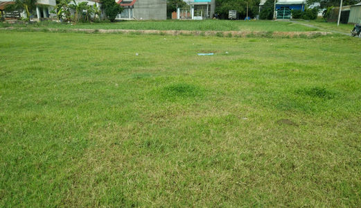 Đất Thổ Cư Ngay Thị Trấn Đức Hòa Long An