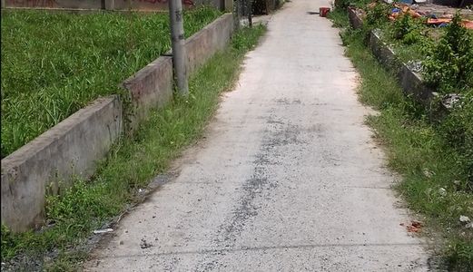 Đất Ở Long Đại, Long Phước, Q9