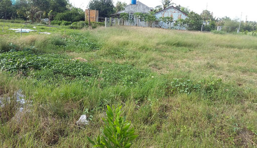 Đất Bình Chánh,Cần Bán Lô Đất 13550m2,Đường Liên Ấp 4-5, Đa Phước