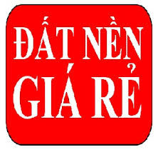 Kẹt Tiền Nhượng Gấp 300m2 Giá Còn 120 Triệu, Đang Dự Kiến Xây Trọ  