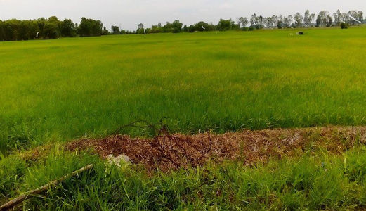 Bán Đất Tại Đường Hùng Vương - Huyện Nhơn Trạch - Đồng Nai