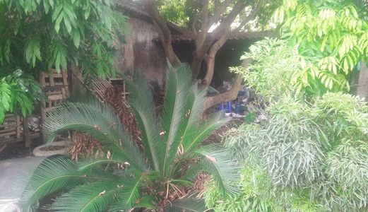 Cần Bán 2 Lô Đất Vỏ Làng Cực Đẹp Tại Mai Lâm, Đông Anh, Gần Chung Cư Eurowindow River Park