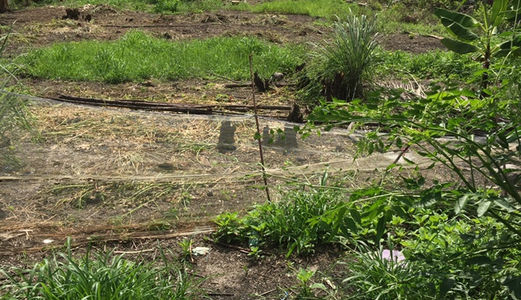 Sang Gấp 1260m2 Đất Xã Quy Đức, Bình Chánh.