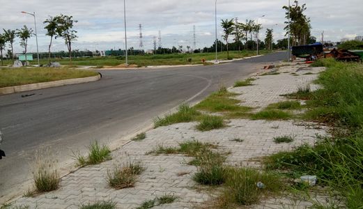 Đường Số 14 Khu Dân Cư Cát Lái , Quận 2, Sổ Riêng Từng Nền