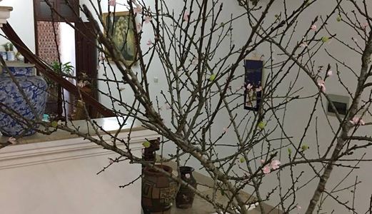 Rẻ Rẻ Rẻ 6.7 Tỷ = 100m2 X 4 Tầng, Biệt Thự Nhà Vườn Quan Nhân, Nguyễn Trãi, Quận Thanh Xuân