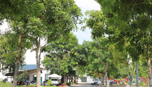 Tại Sao Bạn Phải Tham Quan Đất Nền Kdc “Casa Garden–trần Đại Nghĩa” Trước Khi Mua Bất Cứ Bđs Nào???