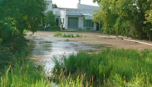 Chú Sáu Bán Gấp 1110 M2 Xây Trọ Ngay Cụm KCN- Quy Đức – Bình Chánh