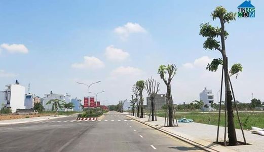 Mở Bán Dự Án Newcity Bình Chánh Mặt Tiền Trần Đại Nghĩa Liền Kề Bệnh Viện Nhi Đồng 3