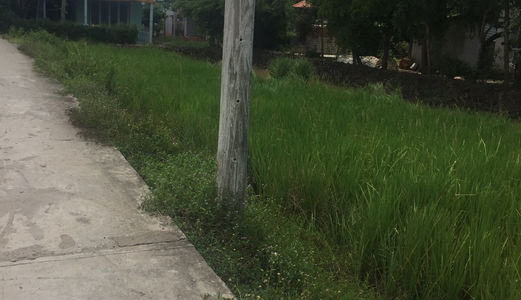 Đất Thổ Cư Bình Chánh, Giá 3,5 Tỷ, Cách Hương Lộ 11, Qui Đức Chỉ 70M, Sổ Hồng Riêng, Chính Chủ