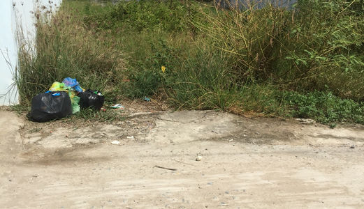 1123 M2 Đường Nhánh Hương Lộ 11, Quy Đức, Bình Chánh.