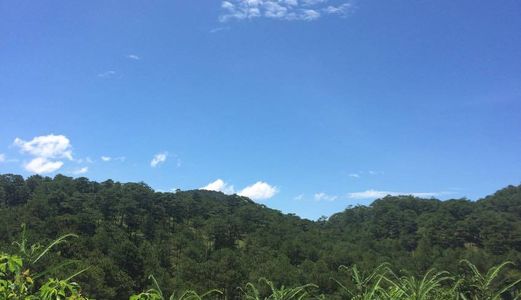 Chỉ 1.1 Tr/M2 Đất View Cực Đẹp Xây Ks Hoàng Hoa Thám– P10 – Đà Lạt, 090.1234.603