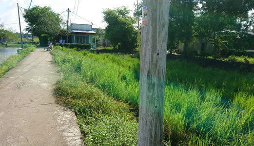 2,2tr/M2, 1150m2 Đất Thổ Cư Bình Chánh Mặt Tiền  Đường Hưng Lộ 11, Quy Đức, Bình Chánh.