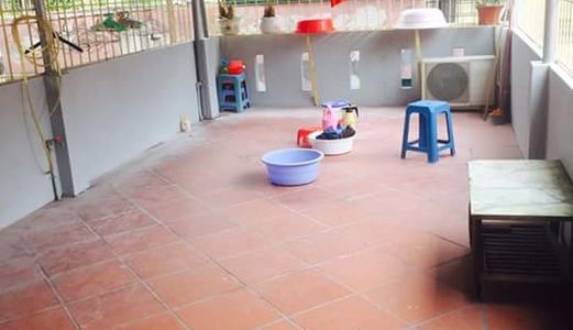 Nhà Phân Lô Sơn Tây, Ba Đình Tuyệt Đẹp, Ngõ Rộng 3m, 48m2x5t. 8,1 Tỷ.