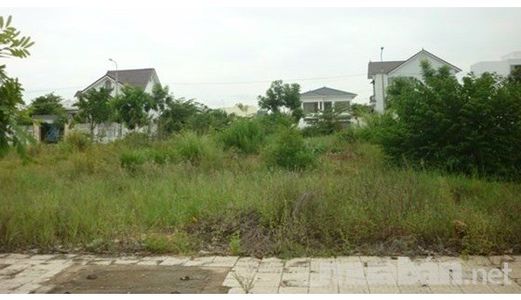 Cần Bán 2 Lô Đường Phạm Tuấn Tài Vị Trí 2 Mặt Tiền