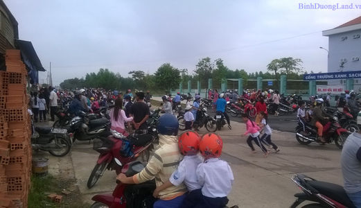 Tôi Cần Bán Gấp Vài Nền Đất Tại Mỹ Phước 3, Bình Dương Khu L, K, J, I, H, F, G Rẻ Hơn T T300 Tr/nền