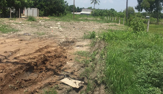 Đất Bình Chánh, Ngay Chợ Hưng Long, Giá 1,5 Tr/M2, Chính Chủ