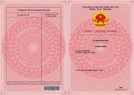 Bán 115m2 Và 230m2 Đất Phân Lô Tại Mỹ Đình, Phù Hợp Xây Nhà Văn Phòng, Đường Rộng 10m, Giá 96tr/M2