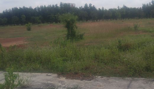 Không Có Người Quản Lý Cần Bán Gấp 16 Phòng 2 Kioot, Lh: 0908.255.692-0902.519.299