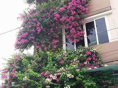 Quá Rẻ Không Có Cái Thứ 2 Ở Tạ Quang Bửu , Hai Bà Trưng. Lh: 01646644666