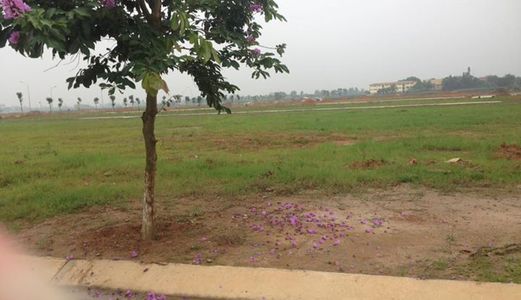 Bán Đất Sổ Đỏ Chính Chủ. Hotline 0969 513 000.