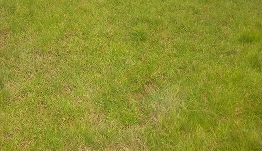 Đất 20x25m Sổ Riêng.Giá 320 Triệu Đường Tỉnh Lộ 9 Cuối Hóc Môn
