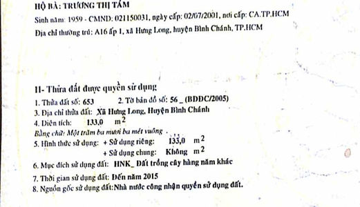 Nợ Tiền Sang Gấp133m2 Đường Nhánh Tân Liễu, Bình Chánh