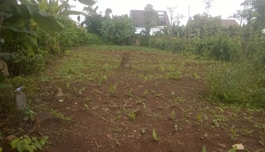   Bán 3 Lô Đất Cuối Y Moan Đất Đẹp Bằng Phẳng