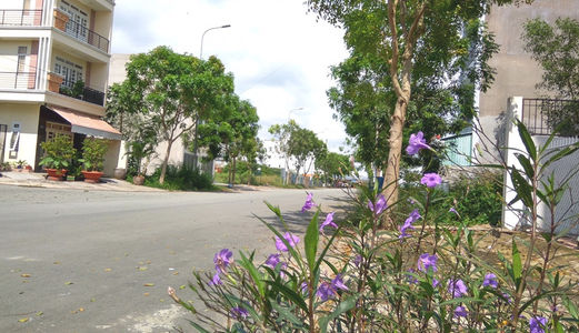 Mở Bán 32 Lô Đất Nền Q.Bình Tân Chính Chủ, SHR