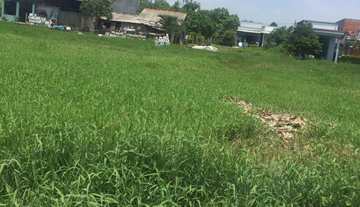 3729m2 Đất Bán Gấp, Giá 4,8 Tỷ, Mặt Tiền Đường T5,Xã Hưng Long, Bình Chánh.